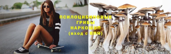 гидропоника Алзамай