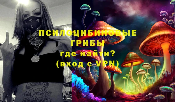 гидропоника Алзамай