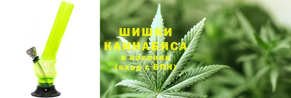 гидропоника Алзамай