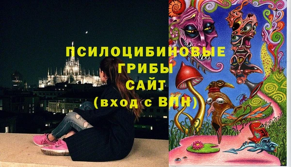 прущий лед Алексин