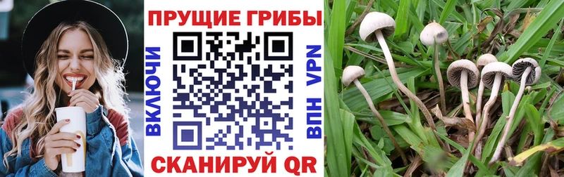 магазин наркотиков Ступино Псилоцибиновые грибы прущие грибы