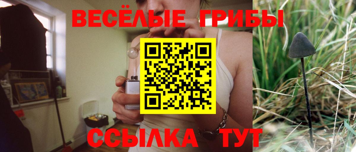 Галлюциногенные грибы мицелий Ступино