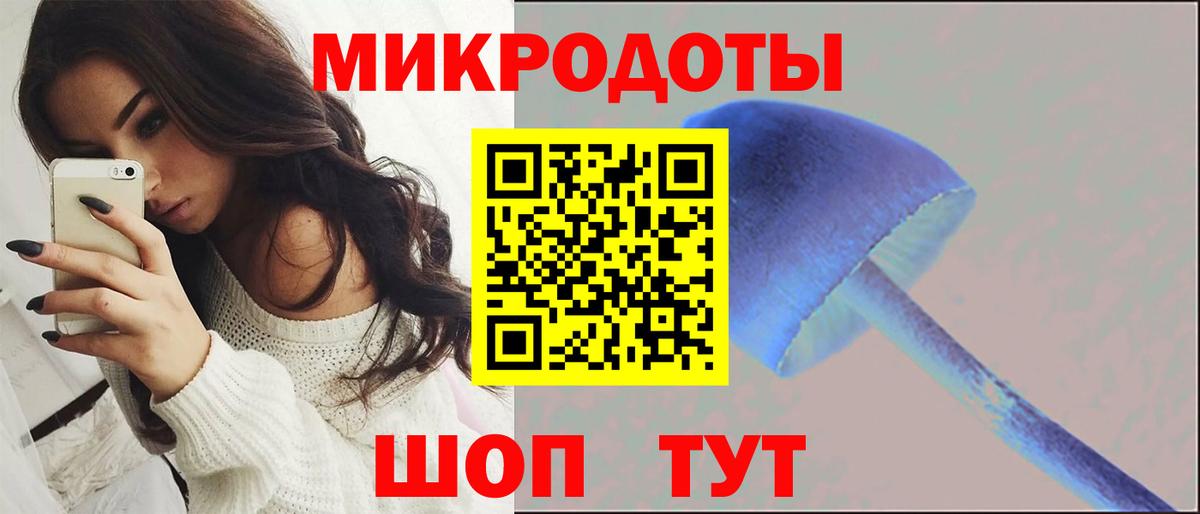 Ступино  где можно купить   Псилоцибиновые грибы GOLDEN TEACHER  Вход с VPN  Псилоцибиновые грибы мицелий 