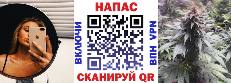 Каннабис сатива Ступино